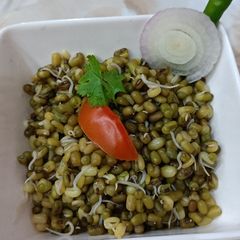 Mung Bean Sprouts A picture of Mung Bean Sprouts.