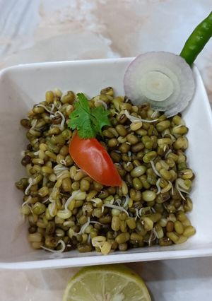 A picture of Mung Bean Sprouts.