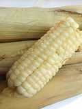 Boiled Maize