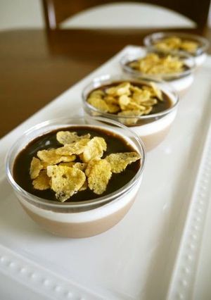 A picture of Cold Dessert Chocolate Bavarois.