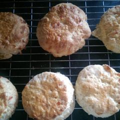 A picture of Mandys cheesy scones/biscuits.