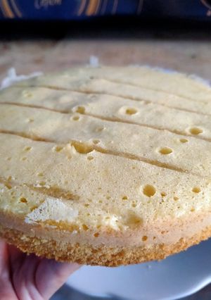 Foto resep Bolu panci satu telur