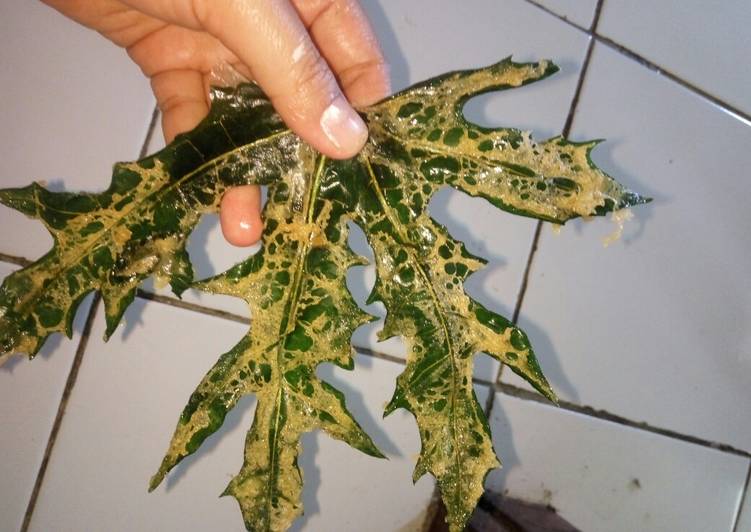 Resep Keripik daun pepaya jepang Anti Gagal