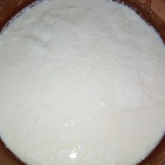 A picture of Taza dahi/ Homemade Dahi.