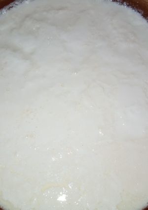 A picture of Taza dahi/ Homemade Dahi.