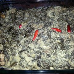 A picture of spicy tuna laing / taro leaves in coconut milk.