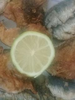 صورة لوصفة سمك التونة والسردين