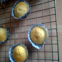 A picture of Delicious Cupcakes.