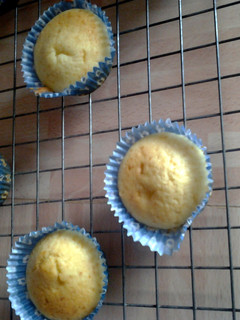 A picture of Delicious Cupcakes.