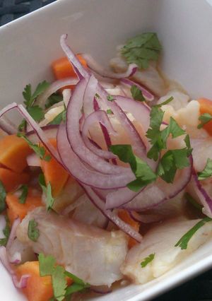 A picture of Peruvian Ceviche.
