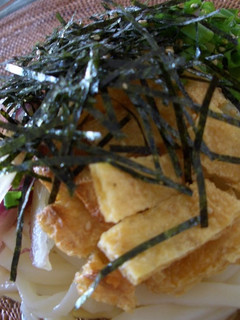 A picture of Chilled Udon Noodles with Sauce.