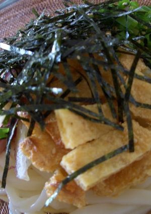 A picture of Chilled Udon Noodles with Sauce.