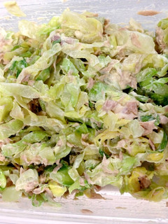 A picture of Easy Microwave Tuna Mayo Cabbage Salad.