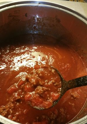 A picture of Chili.