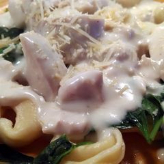 A picture of Alfredo Sauce done "light".