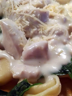 A picture of Alfredo Sauce done "light".