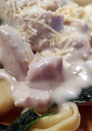 A picture of Alfredo Sauce done "light".