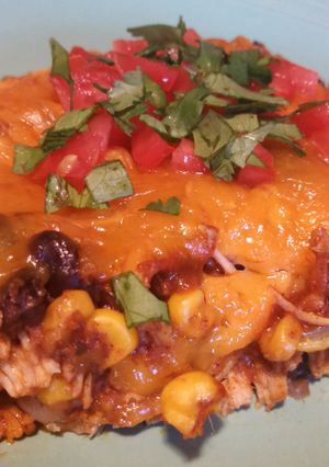 A picture of Chicken enchilada bake.