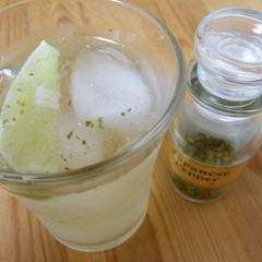 A picture of Spicy Wine Spritzer.