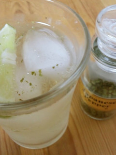 A picture of Spicy Wine Spritzer.