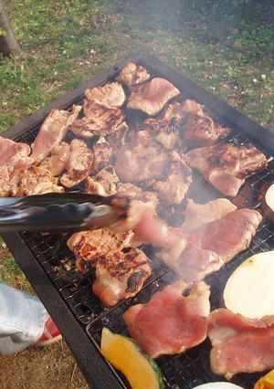 A picture of Easy Hearty Chicken Teriyaki for Barbecues.