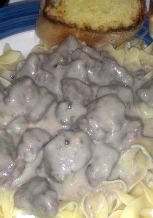 A picture of Major's venison stroganoff.