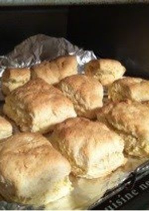 A picture of For Dieters Easy Okara Scones.
