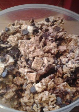 A picture of S'mores Bites.