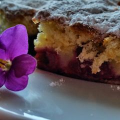 A picture of Delicious sour cherry cake.