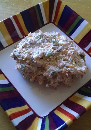 A picture of Zesty bacon cheese dip.