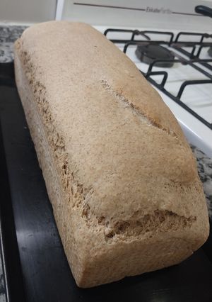Una foto de Pan Integral