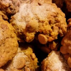 A picture of Peanut Butter, Pumpkin, & PB Chip Cookies.