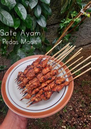 Foto resep Sate ayam ala ibuk