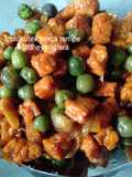 45.Ulukutek lenca tempe