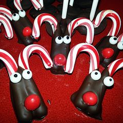 A picture of *Reindeers*.