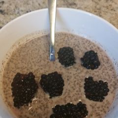 A picture of Soy milk & Cacao Chia Pudding with Fresh Blackberries.