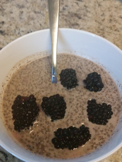 A picture of Soy milk & Cacao Chia Pudding with Fresh Blackberries.