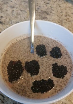 A picture of Soy milk & Cacao Chia Pudding with Fresh Blackberries.