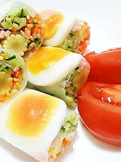 A picture of Fresh Spring Rolls.