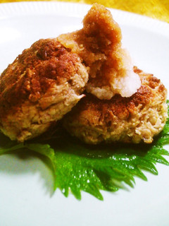 A picture of Meatless Enoki Mushroom and Okara Hamburger Steaks.