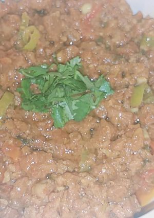 A picture of Fried qeema.