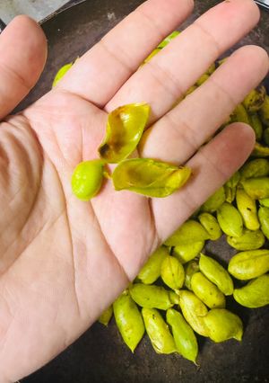 A picture of Roasted green peas (Hari boot).