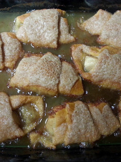 A picture of Apple Dumpling.
