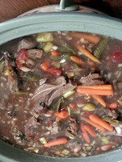 A picture of vegtable/beef soup.