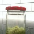 Make Yuzu Pepper Paste with Lime