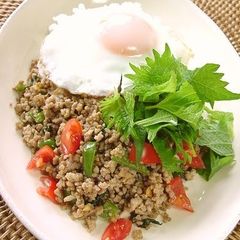 A picture of Shiso Rice.