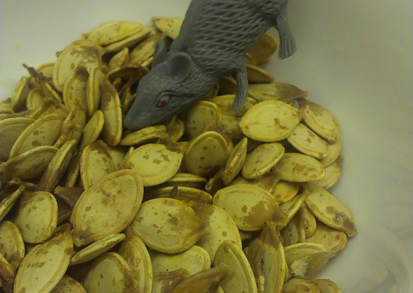 Halloween Leftovers - Roasted Pumpkin Seeds!