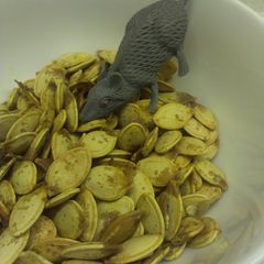 A picture of Halloween Leftovers - Roasted Pumpkin Seeds!.