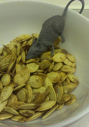 A picture of Halloween Leftovers - Roasted Pumpkin Seeds!.