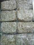 Storing Ground Meat in the Freezer